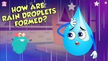 How Are Rain Droplets Formed? | WATER CYCLE | The Dr Binocs Show | Peekaboo Kidz
