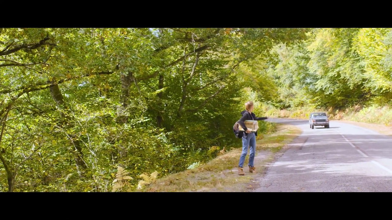 PLÖTZLICH AUFS LAND Film