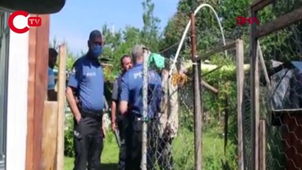 Tartışma kanlı bitti! Kedisini öldüren köpeğin sahibini vurdu