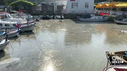 Müsilaj Bozcaada'ya ulaştı