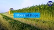 Fibers of Hope: Bangladesh–Germany | ನೈಸರ್ಗಿಕ ನಾರುಗಳೇ ನಮ್ಮ ಭವಿಷ್ಯ ಬಾಂಗ್ಲಾದೇಶ - ಜರ್ಮನಿ  | Work Places 02