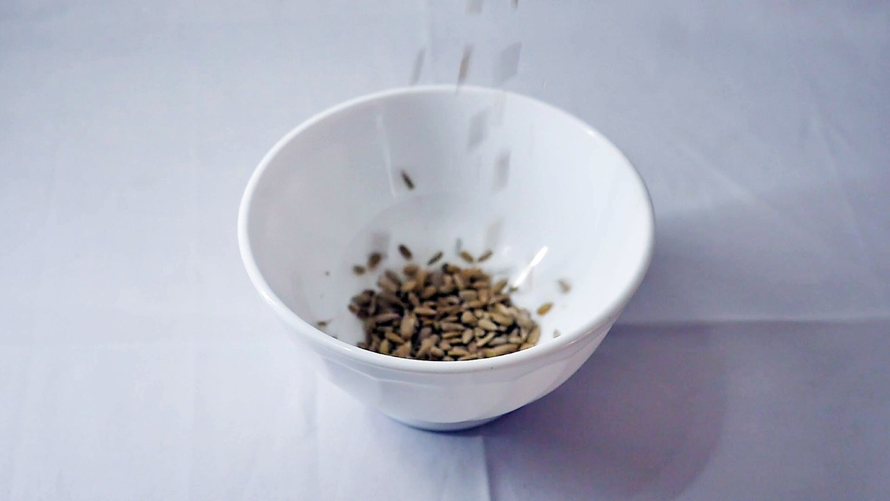 Slow Motion of Seeds Falling Into a Blurry Bowl - CREATIVE COMMON VIDEO 159
