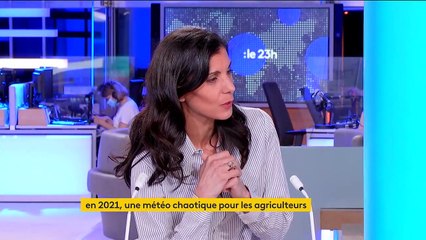 Agriculture : "On a de belles perspectives d’amélioration des techniques de production à l’avenir"