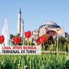 Lima jenis bunga terkenal di Turki