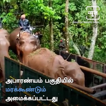 Elephant Tranquilized And Taken For Treatment At Nilgiri