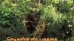 Kerala Man Digs 1000+ Cave Wells in 50 Years, Builds Rare ‘Suranga’ Water System