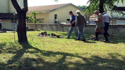 Ecco come nasce il Giardino botanico del Museo del Fungo di Ceva