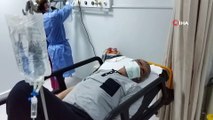 Samsun'da kenenin ısırdığı çiftçi hastanelik oldu