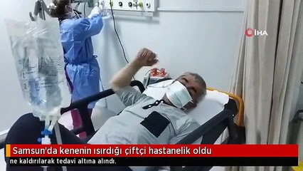 Samsun'da kenenin ısırdığı çiftçi hastanelik oldu