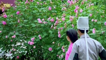 Xem Phim Long Môn Phi Giáp - Tập 15