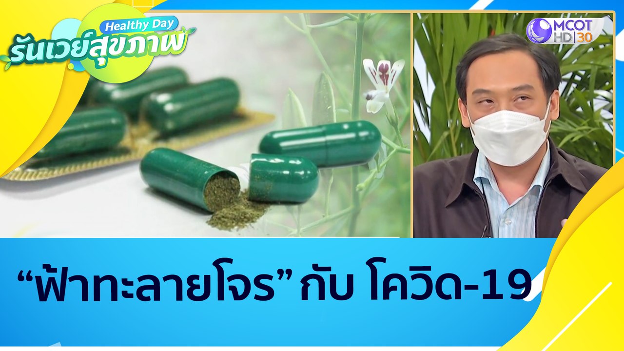 ฟ้าทะลายโจร กับ โควิด-19 : Healthy Day รันเวย์สุขภาพ (21 มิ.ย. 64)