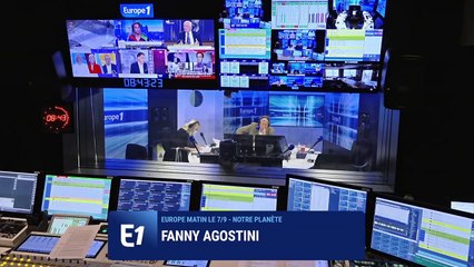 Des mairies renoncent à la tondeuse au profit de la biodiversité