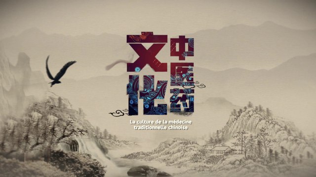 Médecine traditionnelle chinoise – aperçu 中医药文化微课堂——概述