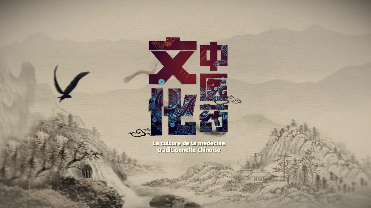 Médecine traditionnelle chinoise – aperçu 中医药文化微课堂——概述