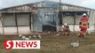 Over 7,000 hens killed in breeding centre fire