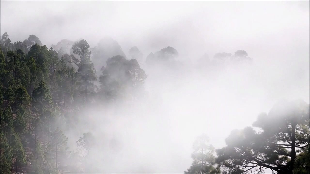 30 Min Beautiful Relaxing Music for Stress Relief • Meditation Music, Sleep Music and study Music