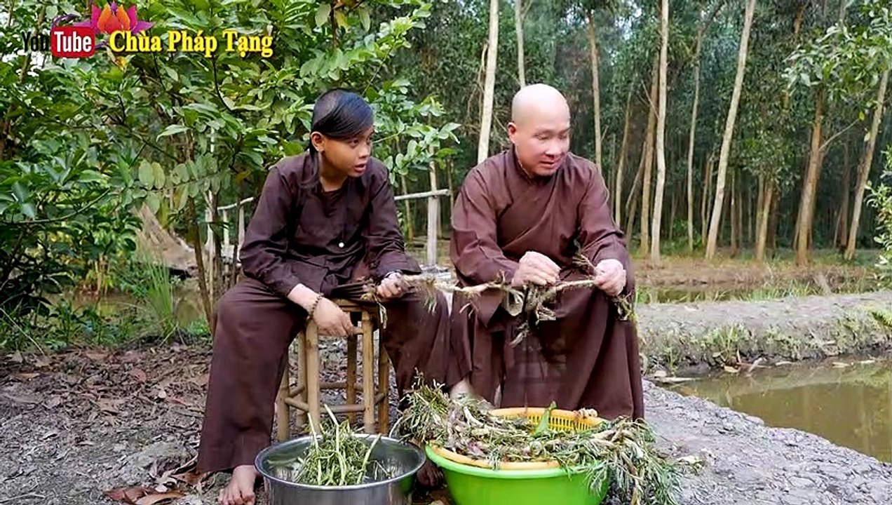 Mất Ngủ, Bướu Cổ, Chảy Máu Cam Trẻ Nhỏ, Táo Bón Sẽ Khỏi Với Bài Thuốc Dễ Làm Này. Chùa Pháp Tạng