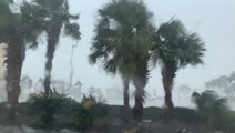 Taking an up-close look at tropical conditions along the Gulf coast