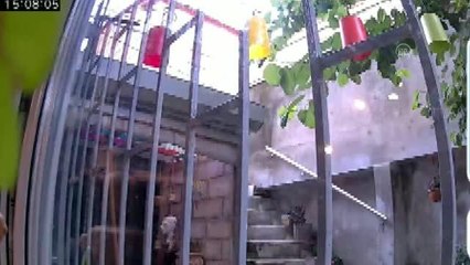 Deprem anı güvenlik kamerasında - Şişli