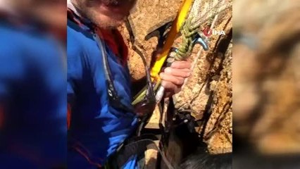 Kurttan kaçıp kayalıklarda mahsur kalan keçi kurtarıldı