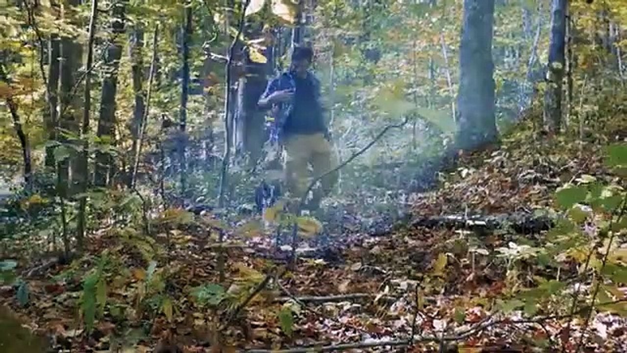 Top 10 Best Apartment Dogs - TopTenz best apartment dogs,best apartment dogs easy to train,best apartment dogs for beginners,best apartment dogs for first time owners,best apartment dogs left alone,best apartment dogs medium,best apartment dogs medium to