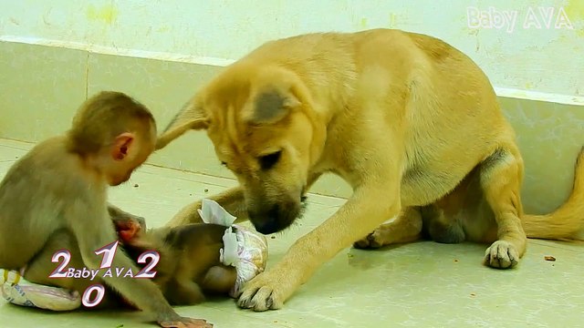 5=0438=OMG !! Million Sweet Baby ABU And Baby MIKE I Can Not Live Without You MIKE !!