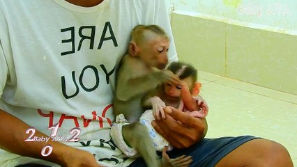 9=3507=AVA=Stop.. Stop.. Bite Smallest MIKE Now AVA !! So Pity MIKE Cry Loudly Is Very Hurt In Heart