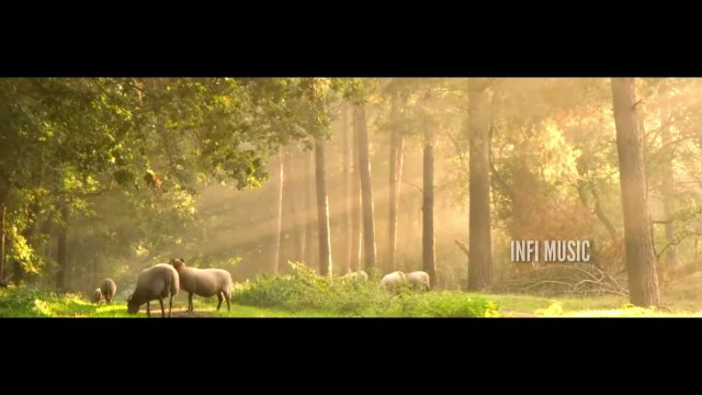 Relaxing music | violin music | piano music | sleeping music | INFI MUSIC