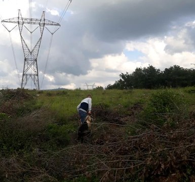 Son dakika haberi: Mağaraya düşen keçi için zorlu kurtarma operasyonu