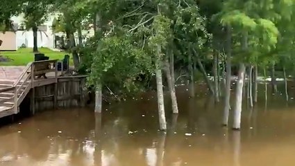 Backyard transformed into pond by Claudette flooding