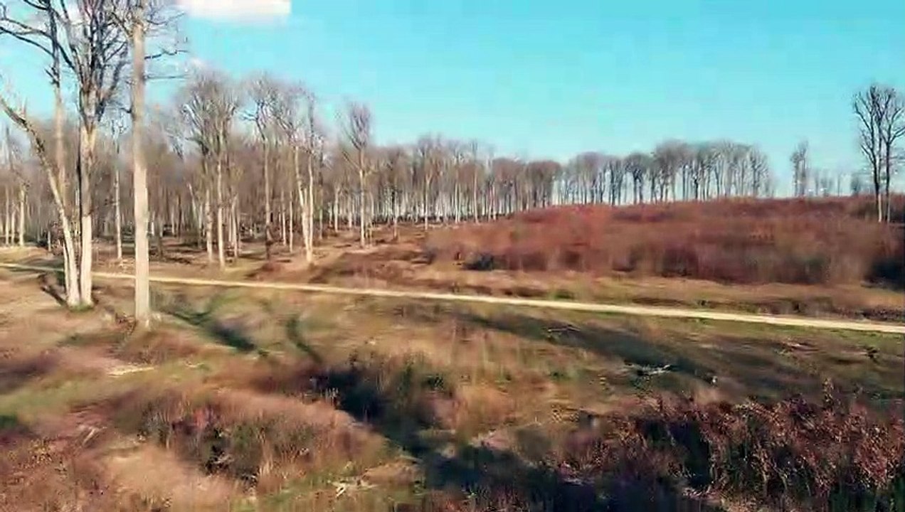 Forêt_d'Habert_06_03_21_002.MP4