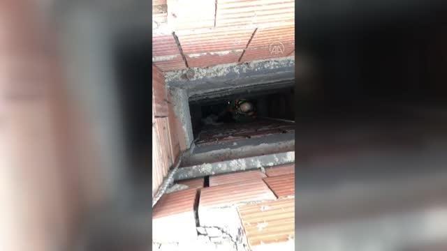 Apartman boşluğuna düşen kediyi itfaiye kurtardı
