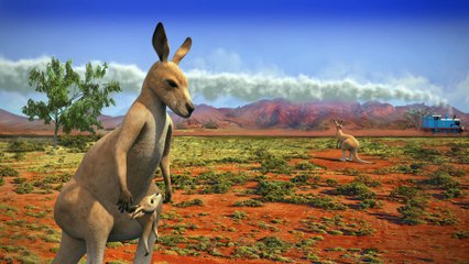 2 Thomas’ Fuzzy Friend