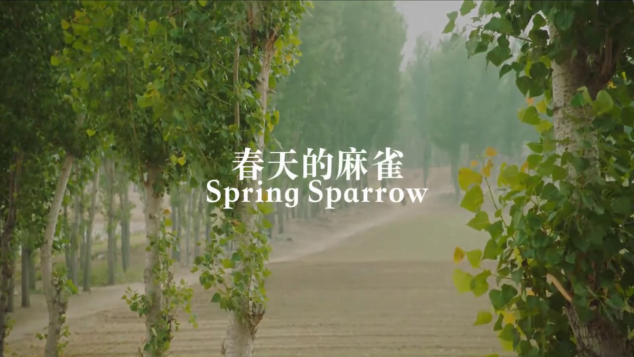 SPRING SPARROW (2019) Trailer VOST-ENG