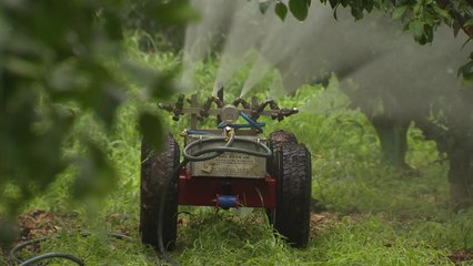 감귤 과수원 적합한 '농약 살포 방제기' 보급 / YTN