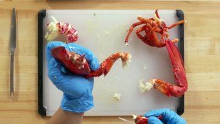 How To Open Every Shellfish | Method Mastery | Epicurious