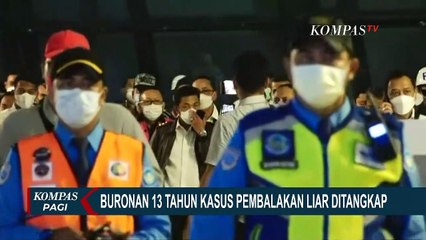 Adelin Lis Didenda 14.000 SGD Karena Paspor Palsu