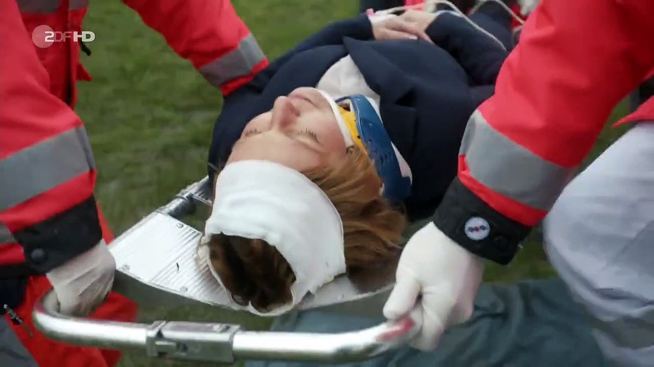 Notruf Hafenkante (368) Staffel 15 Folge 15 - Einsatz Elbe 1