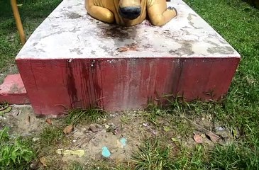 tree planting  // Shiva Temple // women's group  // Nandi Maharaj//