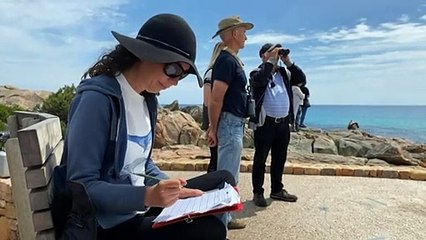 WA citizen scientists set up company for whale research