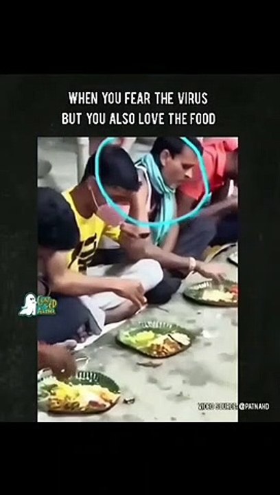 best funny videos