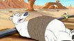 Tom and Jerry Tales - S01E03 Polar Peril [2006]
