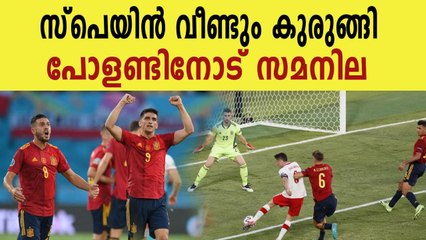 Spain draws with poland in group e second round match