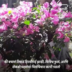 Travel Diary: Take A Tour Of Mahim Nature Park In Mumbai