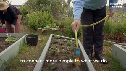 This community seed program is ensuring the future of food in Ireland