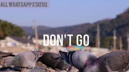 Best Friends Forever! Marshmello & Anne's Catchy WhatsApp Status 🎶