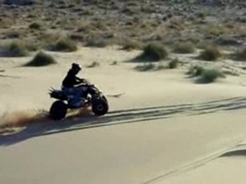 Dans le désert de biskra (algérie)