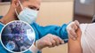 Corona Vaccine की Second Dose लेने के इतने दिनों बाद बनती है Strong Immunity | Boldsky