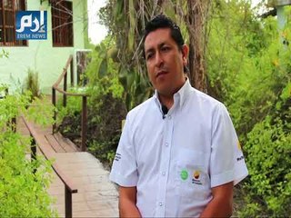 خبراء يأملون في إعادة سلاحف جالاباجوس "المنقرضة" عبر برنامج للحماية