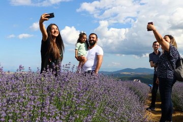"Lavanta Günleri" etkinlikleri devam ediyor